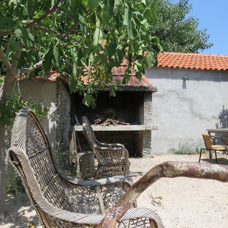 Guesthouse Dila Galovac  Exterior photo